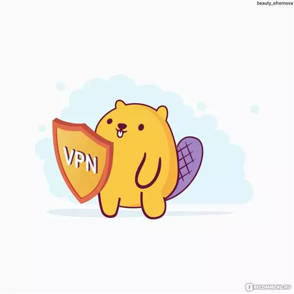 VPN Бобер