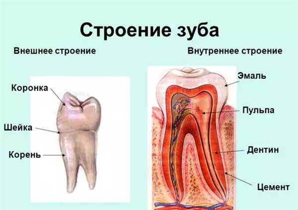 Заболевания зуба